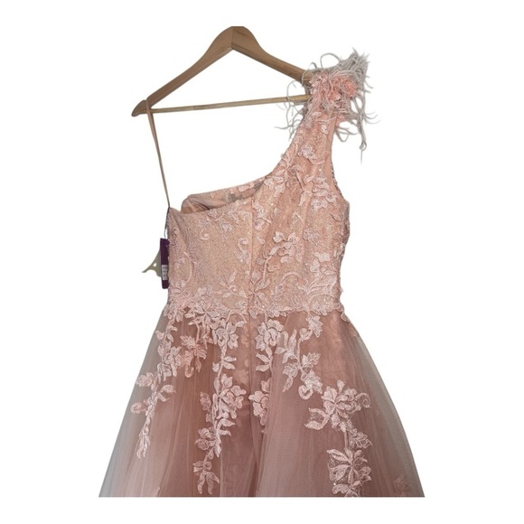 Abby Paris Longs by Lucci Lu Lace Gown with Tulle Overskirt in Blush NWT - Picture 10 of 12
